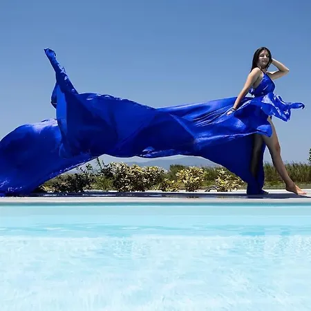 Olives Seaside No 2 Plaka (Naxos)