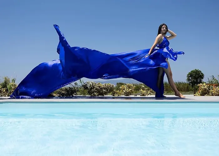 Olives Seaside No 2 Плака